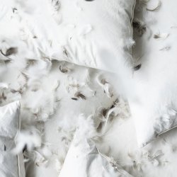 Pudefyld - 60 x 60 cm