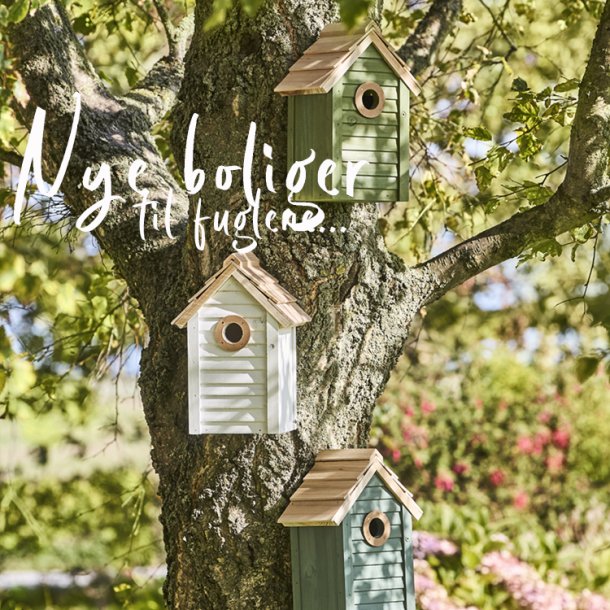 Sm� huse fulde af optimisme &hearts;