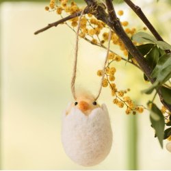 Kylling i �ggeskal til oph�ng - Filt - H:5,5 cm