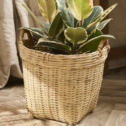 Vietnamkurve - noget af det smukkeste at organisere i...