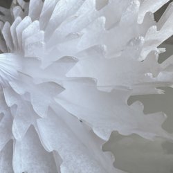 Paperfan - HDFold - White - :30 cm