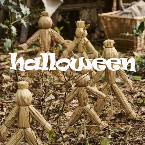 Halloween - Sm, fine fugleskrmsler