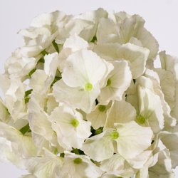 Artificial flower - Hortensia - Hvid - H:50 cm