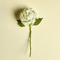 Artificial flower - Hortensia - Hvid - H:50 cm