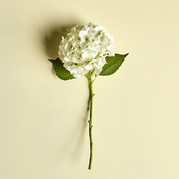 Artificial flower - Hortensia - Hvid - H:50 cm