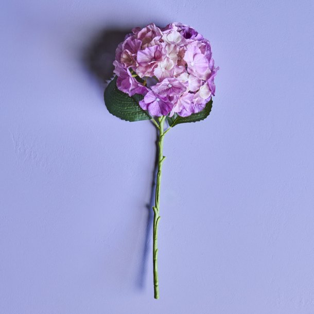 Hortensia - Kunstig - H:50 cm