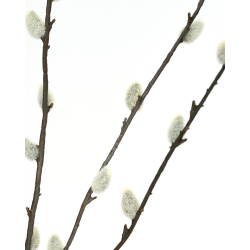 Leg med g�slinger, vintage-tallerkener - og bl�de stofservietter