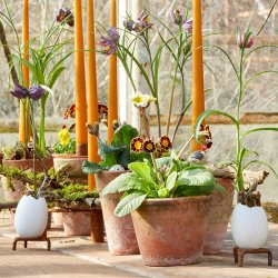 Den uundvrlige Triangular-fod