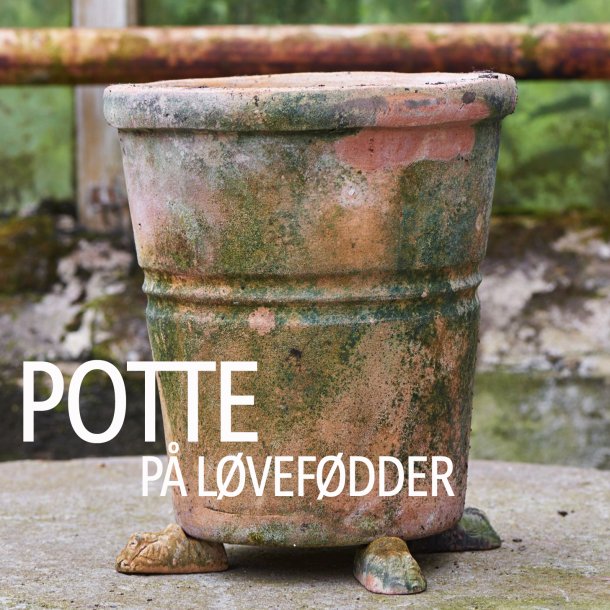 Potter p� l�vef�dder &hearts;