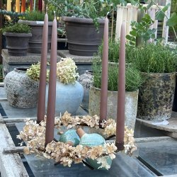 Paula - Dark Green - :6 L:11,5 cm