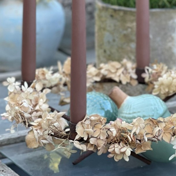 Helt r adventskrans - lad mig prsentere Lrke