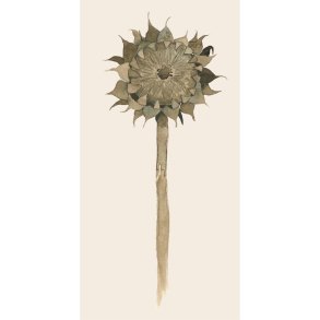 16 servietter - Solsikke i forfald