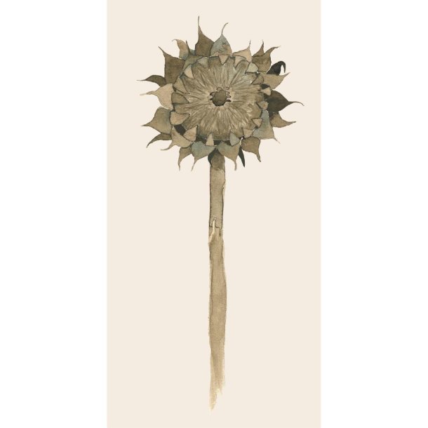 16 servietter - Solsikke i forfald