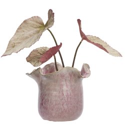 Potte - Stent�j - Pink - Off White